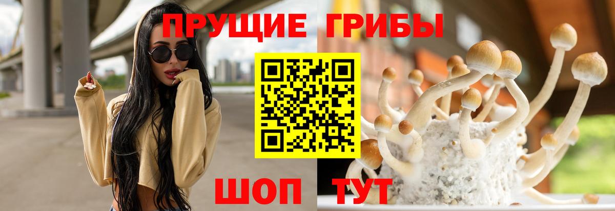 Псилоцибиновые грибы MAGIC MUSHROOMS  Вход с VPN  наркота  Сегежа 